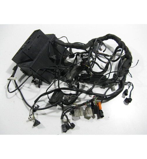 Kabelbaum (mit Integral-ABS und Doppelzündung)